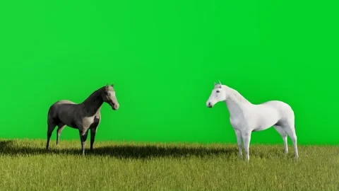 3d video animation of two black and white horses eating grass with a green s Stock Footage 259018204