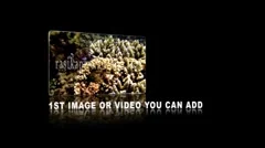 3D Video Image Presentation Stock After Effects