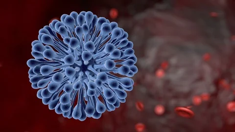 3D video with a stylized representation of coronavirus in blood in motion Stock Footage 125692790