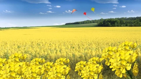 3D Virtual Studio Landscape Set Background Stock Footage 119831158