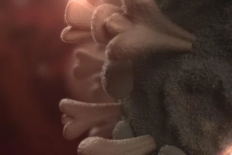 3D Virus Close Up Stock Illustration