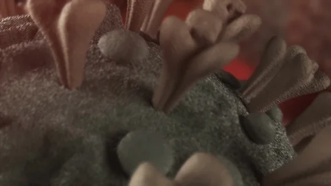 3D Virus CloseUp Animation Video stock 127905809