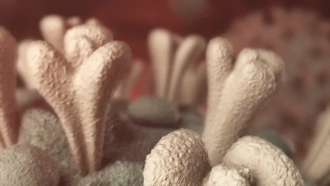 3D Virus CloseUp Animation Video stock 127905827