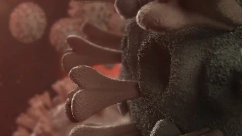 3D Virus CloseUp Animation Video stock 127906046