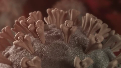 3D Virus CloseUp Animation Video stock 127906263