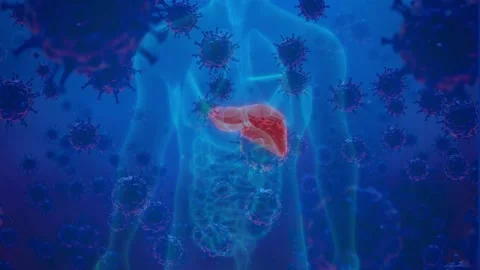 3D Virus Particles Attacking Human Liver in Medical Animation Stock Footage 336900631