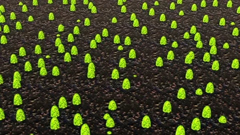 3d visual illustration of growing grass Stock Footage 262130847