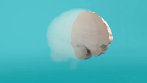 3D Visualization of Brain Clarity: Transition from Cognitive Haze to Focus Stock Footage 294316858