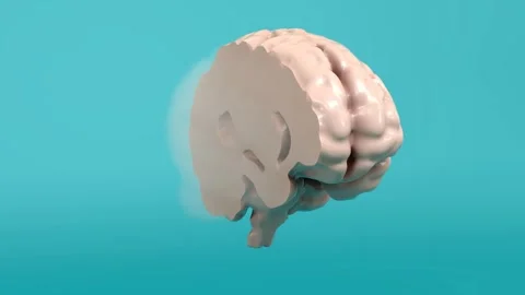 3D Visualization of Brain Fog: Transition from Clarity to Cognitive Haze Stock Footage 294316857