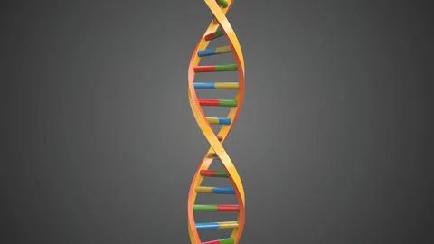3D visualization of DNA - Deoxyribonucleic acid molecule that carries genetic Stock Illustration
