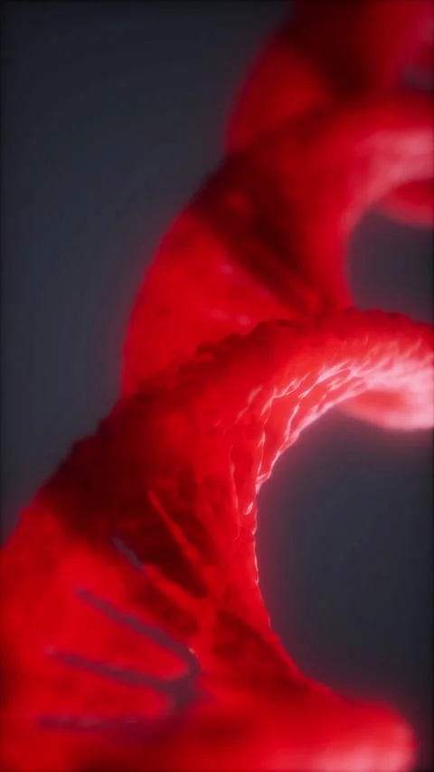 3D visualization of DNA structure showcasing intricate red helices in detail Stock Footage 306154370