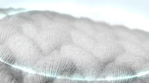 3D visualization helps remove dirt embedded in fabric fibers. Stock Footage 276596795