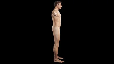 3D visualization of a human body anatomy on a black background Stockillustratie
