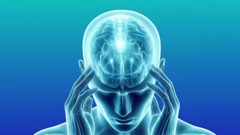 3D Visualization of Human Brain Activity and Anatomy Stock Footage 317142951