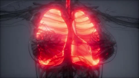 3D-Visualization-Human-Lungs Stock Footage 314111775