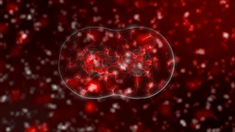 3D visualization of the virus. Pathogens, information on the new 2019-nCoV Vídeos de archivo 124693255
