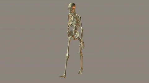 3D Walking Skeleton with Alpha Stock Footage 690553