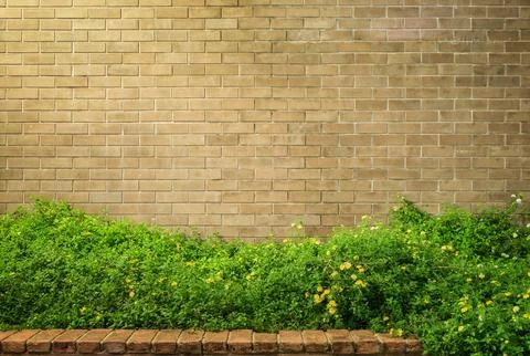 3D wallpaper background, High quality rendering decorative Stock Illustration