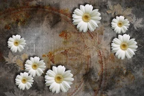 3d wallpaper, chamomiles on abstract canvas textures Stock Illustration