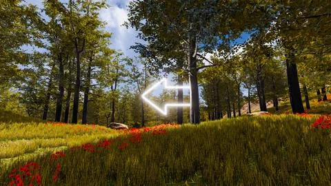 3D wallpaper with forest environment with left arrow, trees and vegetation Stock Illustration