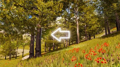 3D wallpaper with forest environment with left arrow, trees and vegetation 库存插图