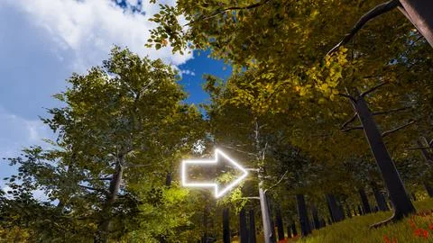 3D wallpaper with forest environment with right arrow, trees and vegetation Stock Illustration