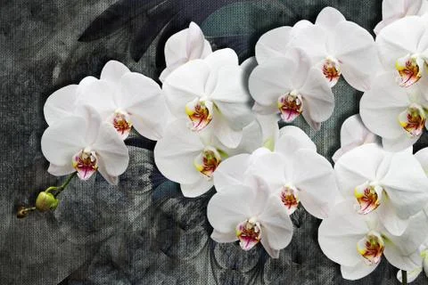 3d wallpaper texture, white orchids on abstract canvas textures. Stock Illustration