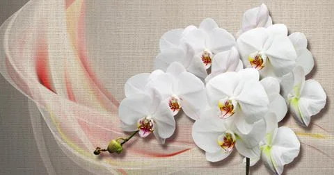 3d wallpaper texture, white orchids on fabric canvas texture Stock Illustration