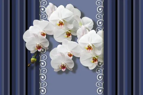 3D wallpaper, white orchids, pattern with vertical stripes, lines of differe Stock Illustration