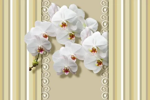 3D wallpaper, white orchids, pattern with vertical stripes, lines of differe Stock Illustration