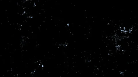 3d water splash transparent isolated on black background. Stock Footage 243245164