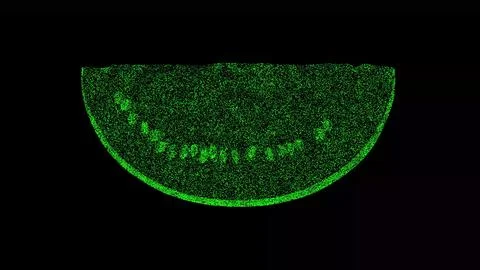 3D Watermelon slice on black bg. Healthy food concept. Food market, sale of.. Stock Illustration
