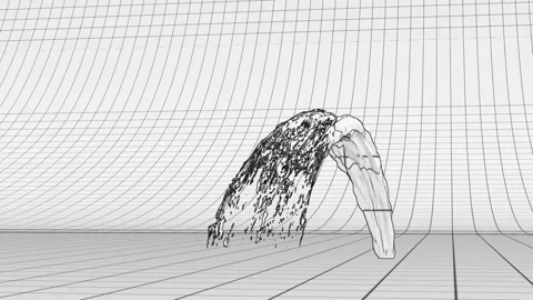 3D Weeping Willow Wireframe Reveal Dark Background Video stock 339642380