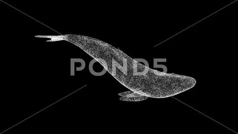 3D whale on black bg. Object dissolved white flickering particles ...