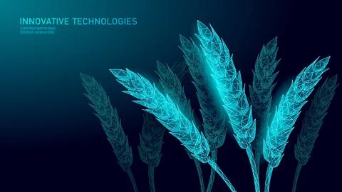 3D wheat ears grain. World food Day hunger awareness. Help charity food help Stock Illustration