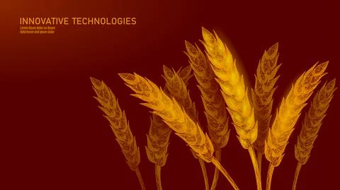 3D wheat ears grain. World food Day hunger awareness. Help charity food help Stock-Illustration