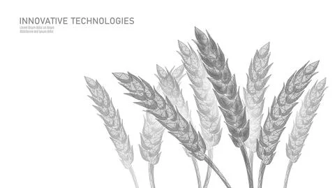 3D wheat ears grain. World food Day hunger awareness. Help charity food help Stock-Illustration