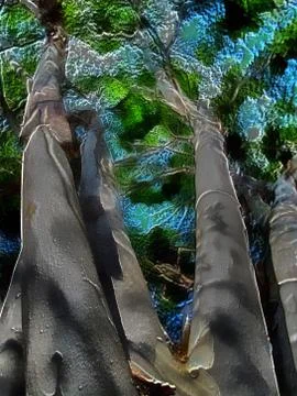 3d white barked tree Stock Illustration