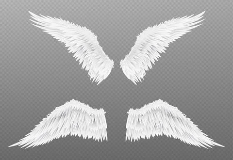 3d white realistic angel wing isolated vector イラスト素材