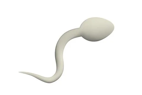 3D white sperm vector illustration design Stock Illustration