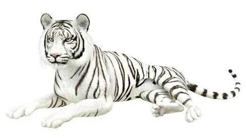 3D White tiger Ilustración de archivo