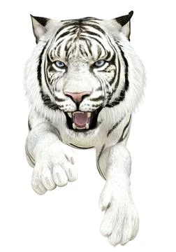 3D White tiger Stock Illustration