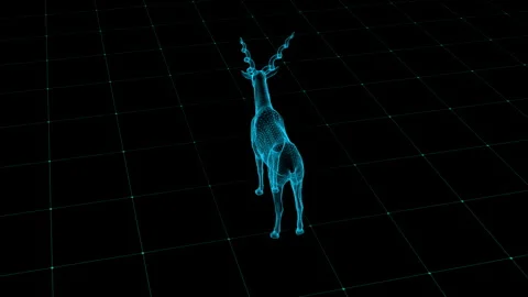 3D Wireframe Antelope on Digital Grid Backdrop in Cybernetic Style Visualiz.. 库存影片 342605379
