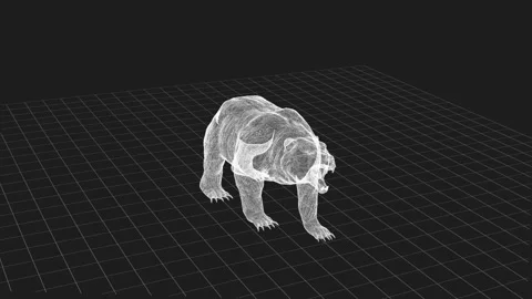 3D Wireframe of a Bear in Digital Space with Grid Background 스톡 동영상 343217857