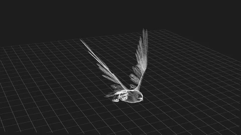 3D Wireframe of a Bird in Flight Over a Grid Patterned Surface Stock Footage 343639927