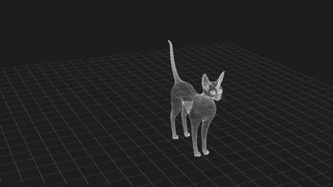 3D Wireframe Cat Model in Grid Environment with Geometric Design Elements 库存影片 342605245