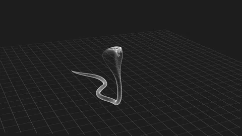 3D Wireframe Cobra Visualization in a Digital Mesh Grid Environment 库存影片 343035130