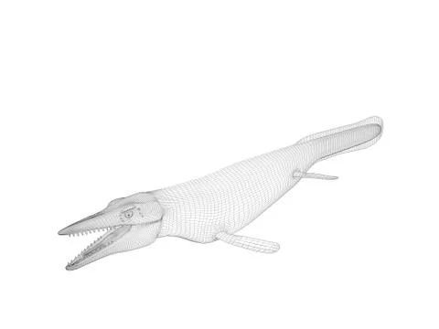 3d wireframe crocodile Stock Illustration