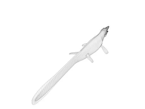 3d wireframe crocodile Stock Illustration