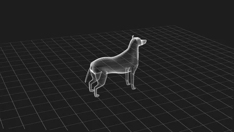 3D Wireframe Design of a Dog Model in Digital Space Grid Background 库存影片 342316027